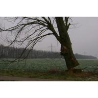 S3600059 S3600059